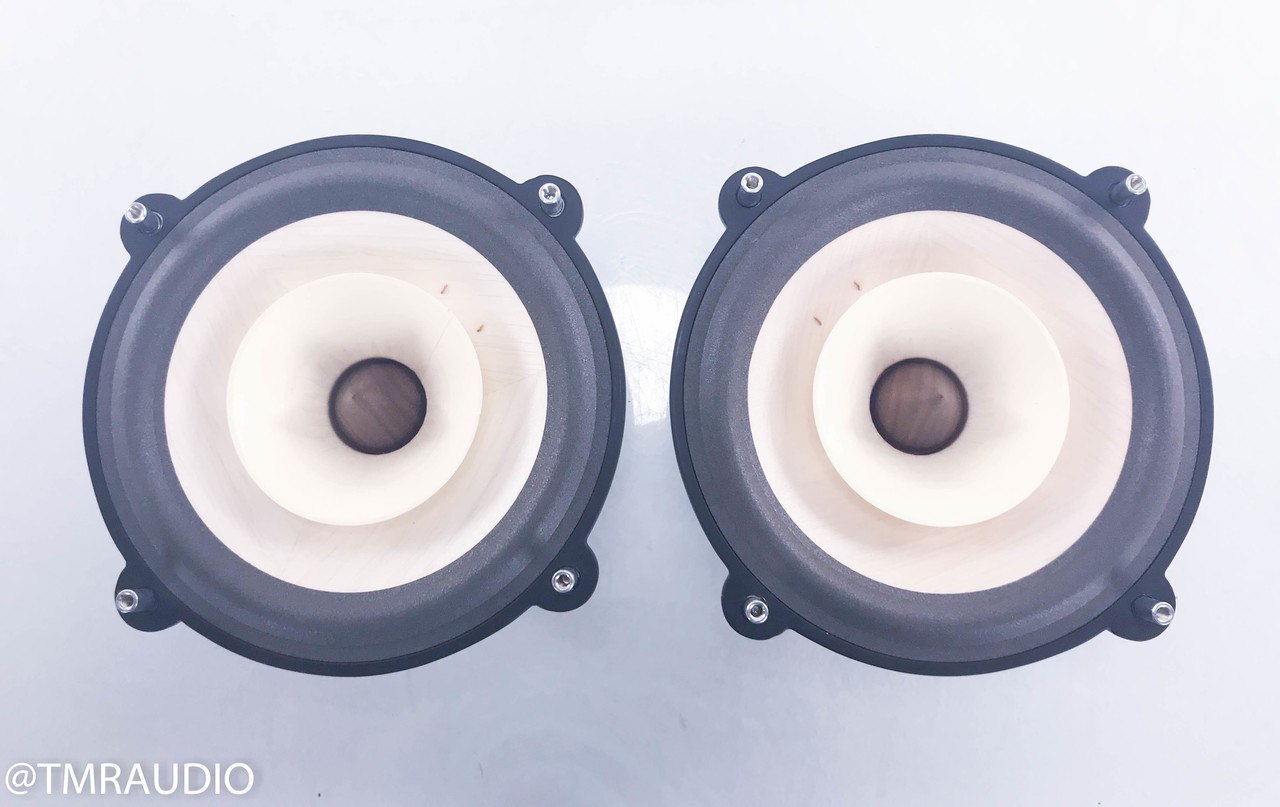 Home on the Full Range: Voxativ AC-4X 8” Full-Range Drivers for High-End DIY Speakers
