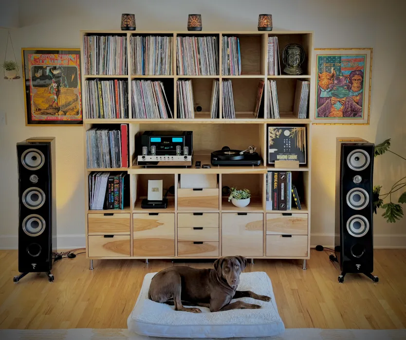 Speakers That Pair Beautifully with McIntosh Amps — And Why Synergy Matters
