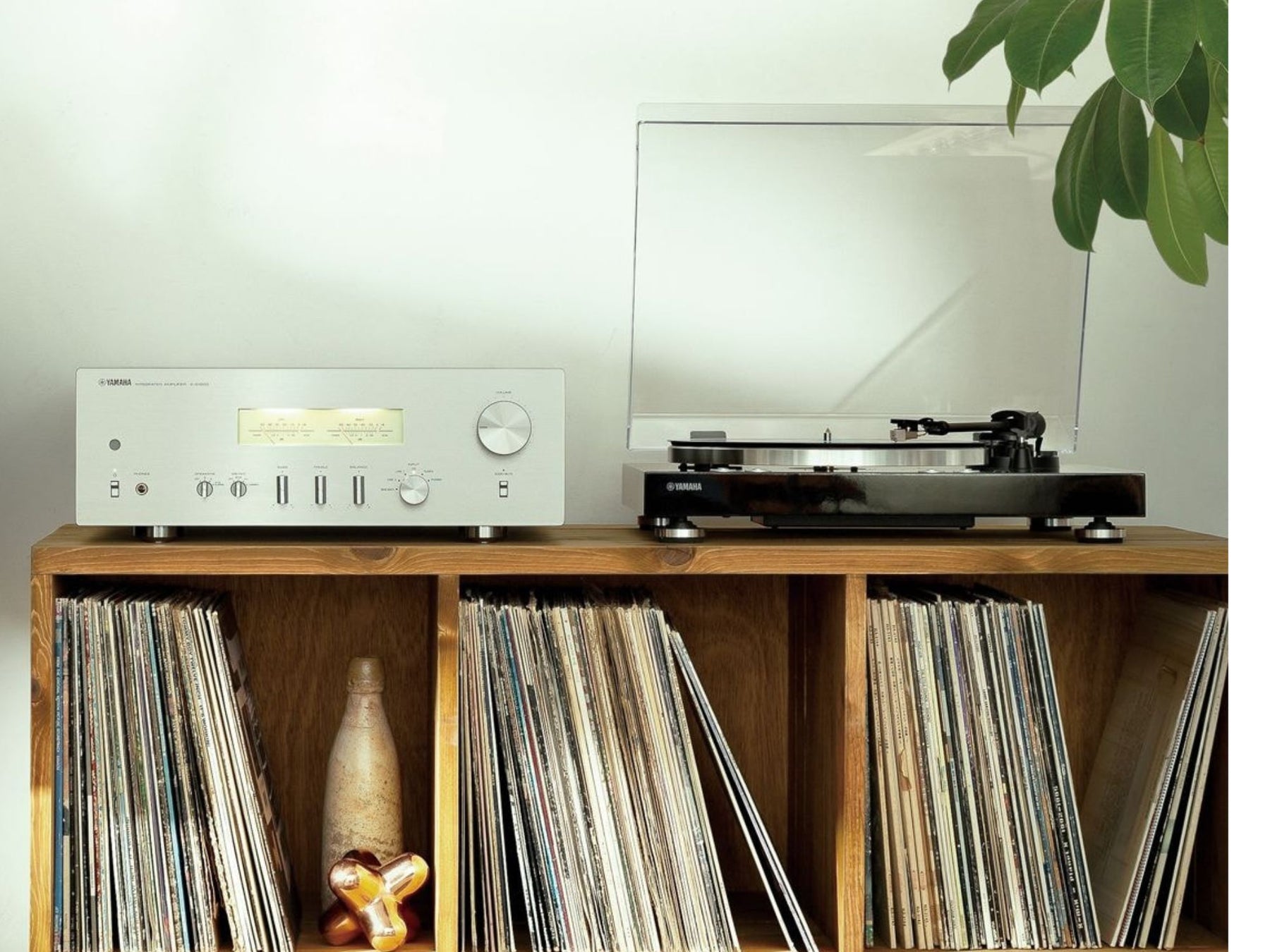 Integrated Amplifier vs. Separates: Which Should You Buy?