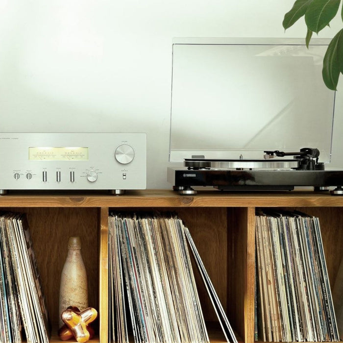 Integrated Amplifier vs. Separates: Which Should You Buy?