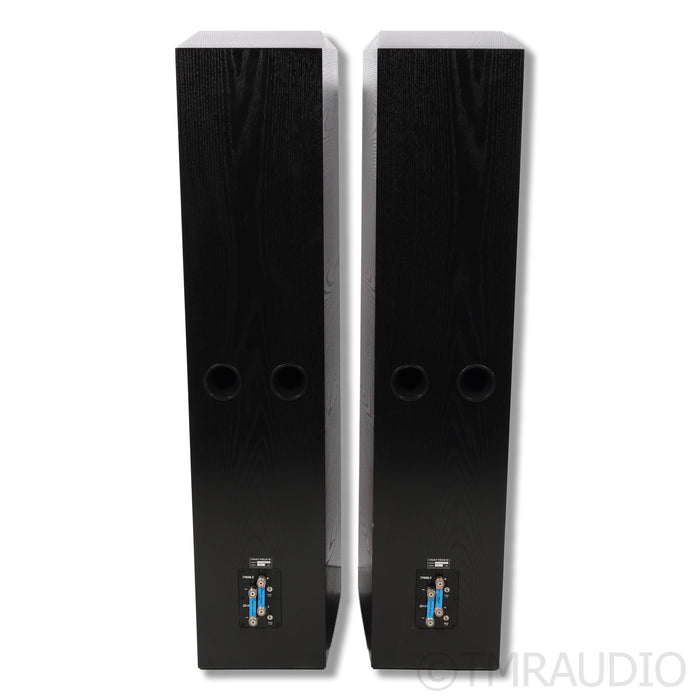 Legacy Audio Focus SE Floorstanding Speakers