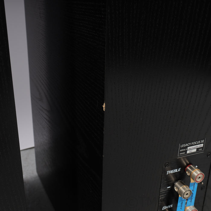 Legacy Audio Focus SE Floorstanding Speakers