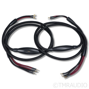 Transparent Audio Super Gen 6 Bi-Wire Speaker Cables; 3m