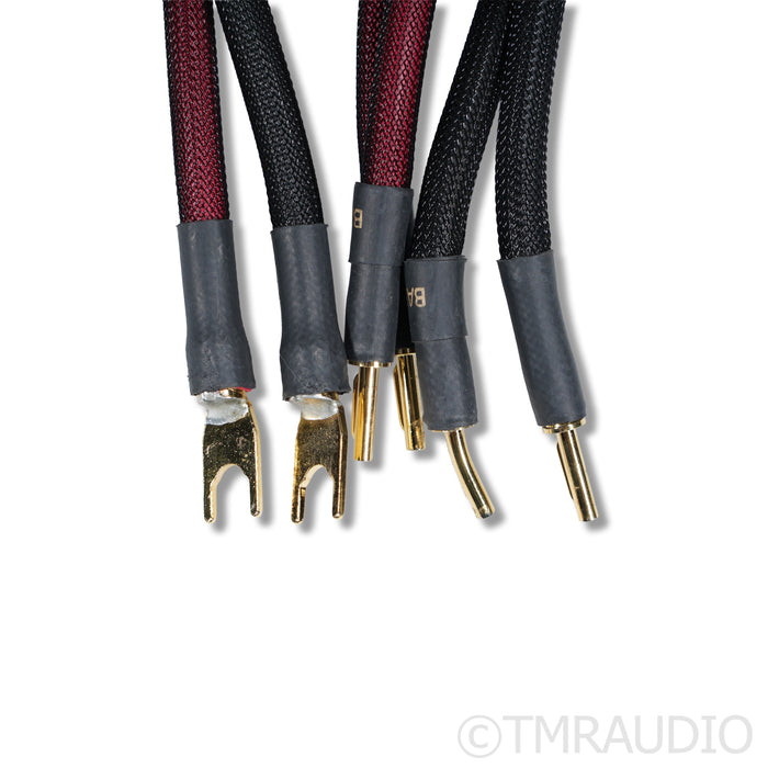 Transparent Audio Super Gen 6 Bi-Wire Speaker Cables; 3m