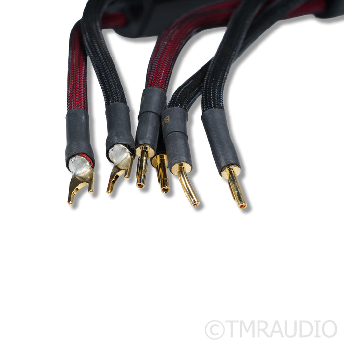 Transparent Audio Super Gen 6 Bi-Wire Speaker Cables; 3m