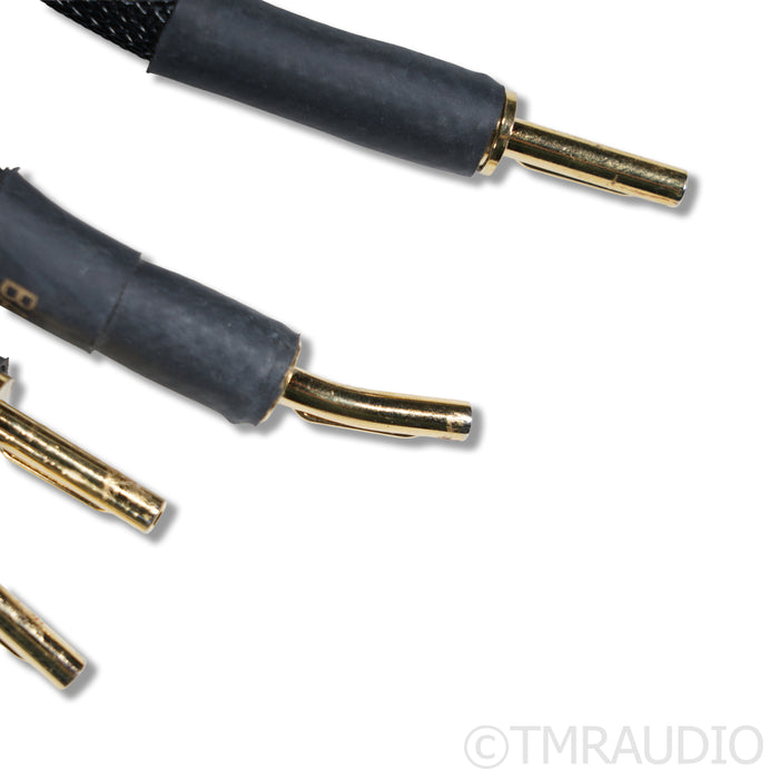 Transparent Audio Super Gen 6 Bi-Wire Speaker Cables; 3m