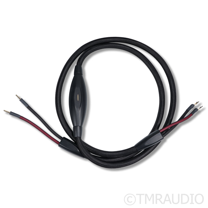 Transparent Audio Super Gen 6 Speaker Cable; 3m Single