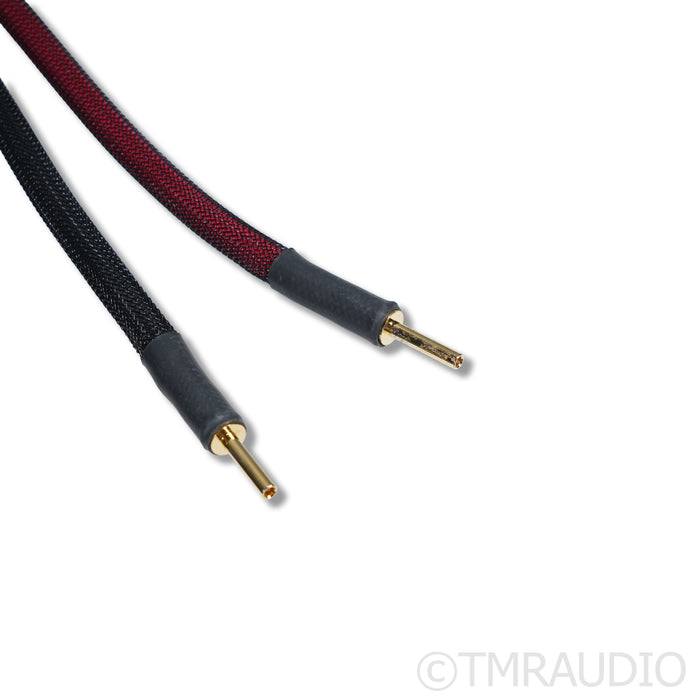 Transparent Audio Super Gen 6 Speaker Cable; 3m Single