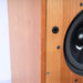 Stirling Broadcast LS3/6 Bookshelf Speakers