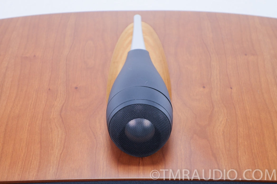 B&W Nautilus HTM1 Center Channel Speaker