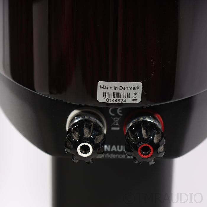 Dynaudio Confidence 20 Bookshelf Speakers; Stands