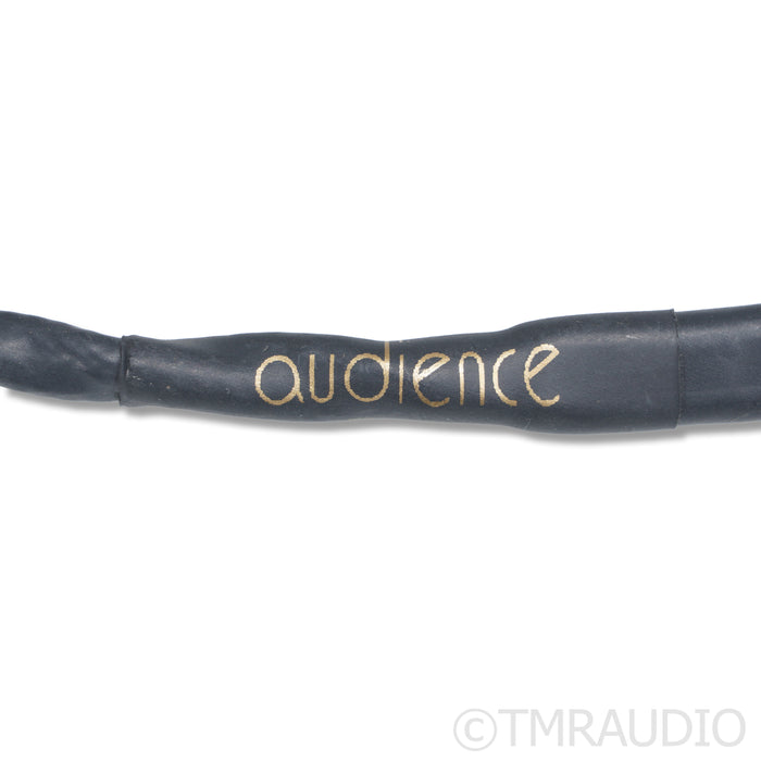 Audience OHNO III Speaker Cables; 2m