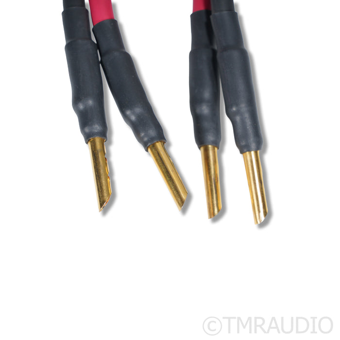 Audience OHNO III Speaker Cables; 2m