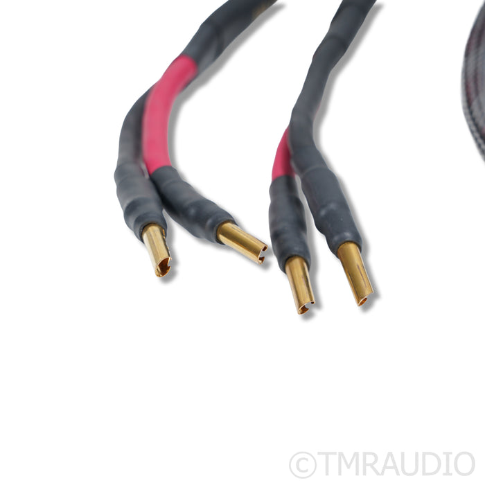 Audience OHNO III Speaker Cables; 2m