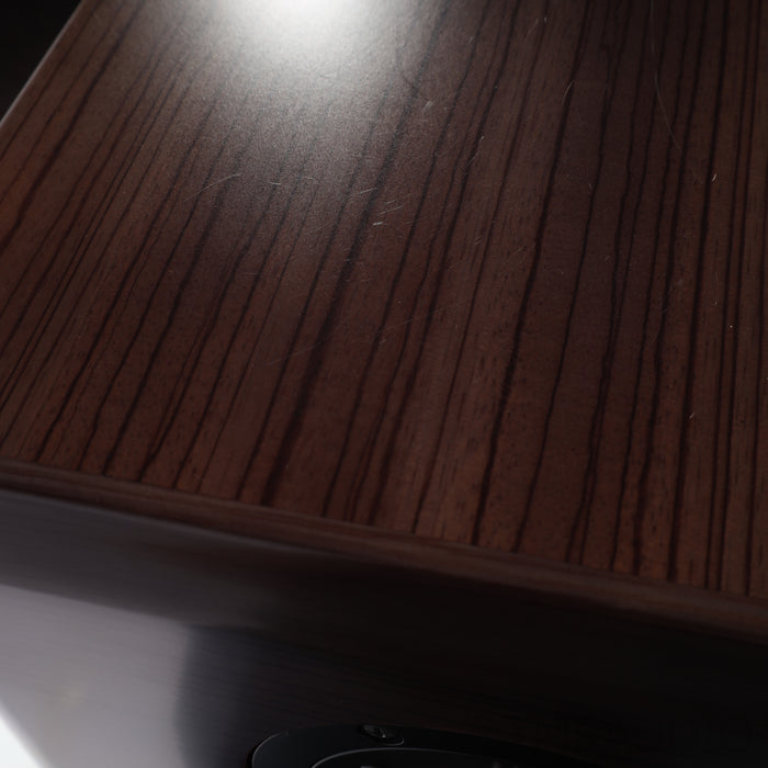 Salk Song3 BeAT Floorstanding Speakers; Zebrawood; GAIA II Feet