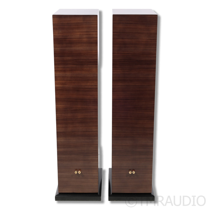 Salk Song3 BeAT Floorstanding Speakers; Zebrawood; GAIA II Feet