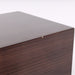 Salk Song3 BeAT Floorstanding Speakers; Zebrawood; GAIA II Feet