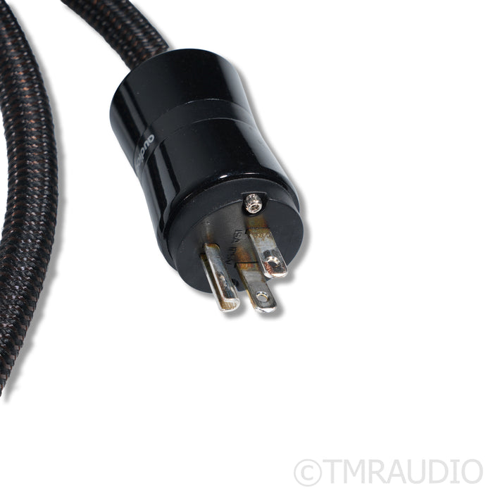 AudioQuest NRG-1000 Power Cable; 1.75m; C19