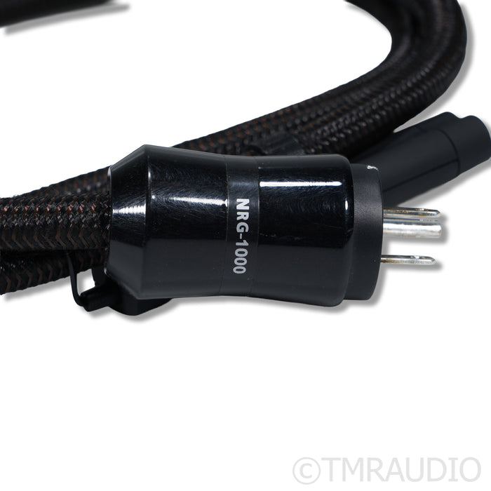 AudioQuest NRG-1000 Power Cable; 1.75m; C19