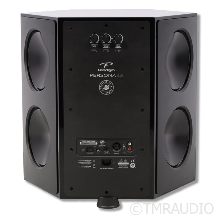 Paradigm Persona SUB Subwoofer; AudioQuest Blizzard Power Cable