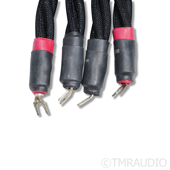 Synergistic Research Galileo SX Speaker Cables; 2.4m