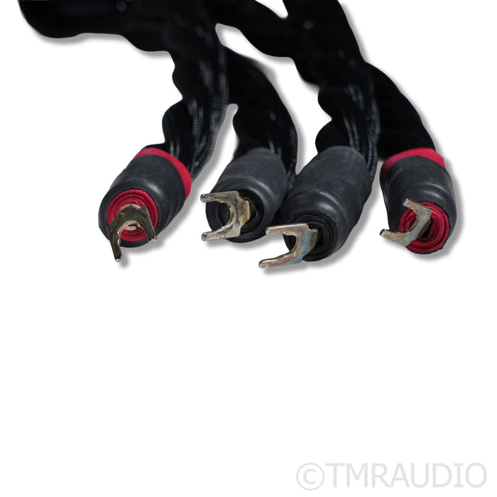 Synergistic Research Galileo SX Speaker Cables; 2.4m