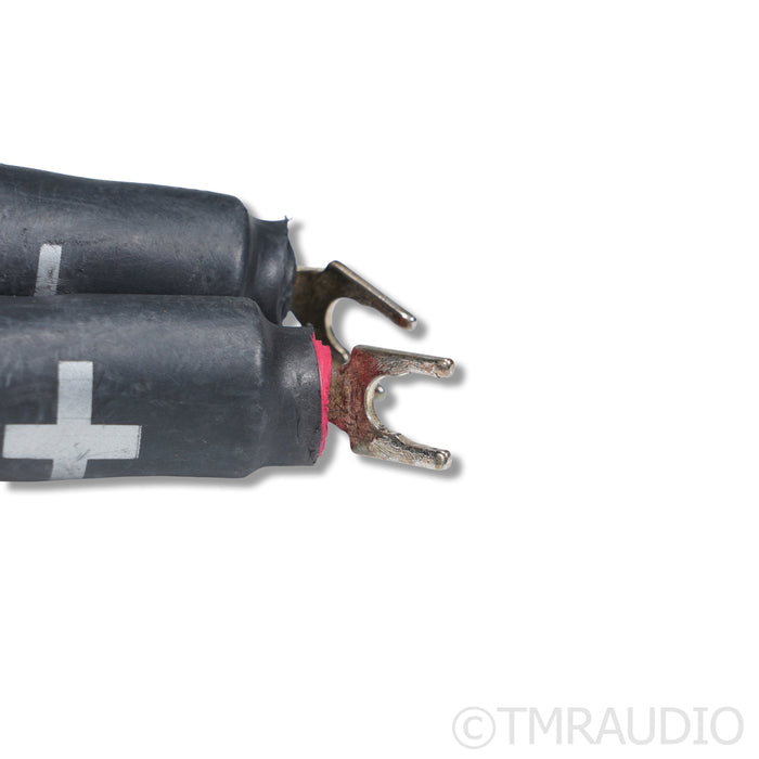 Synergistic Research Galileo SX Speaker Cables; 2.4m