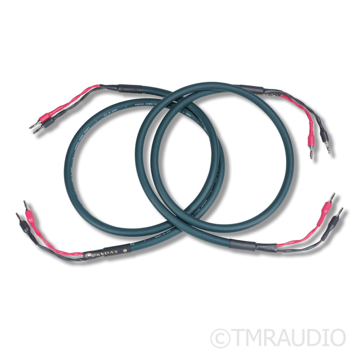 Cardas Parsec Speaker Cables; 1.5m