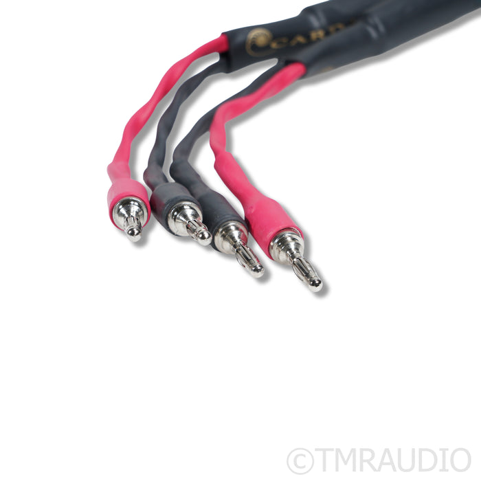 Cardas Parsec Speaker Cables; 1.5m