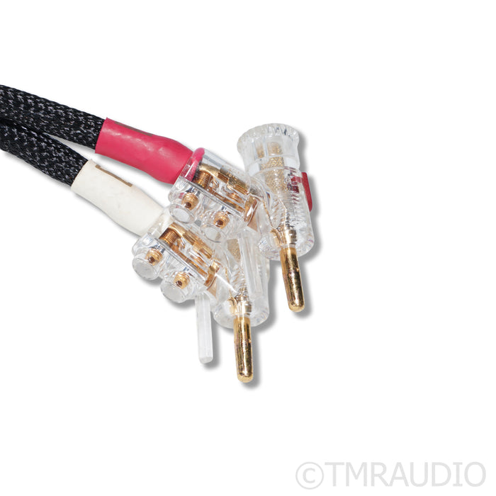 Kimber Kable Monocle X Speaker Cables; 1.5m
