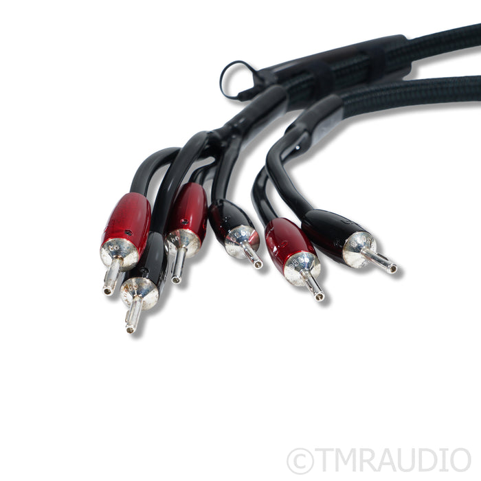 AudioQuest Rocket 88 Bi-Wire Speaker Cables; 2.5m
