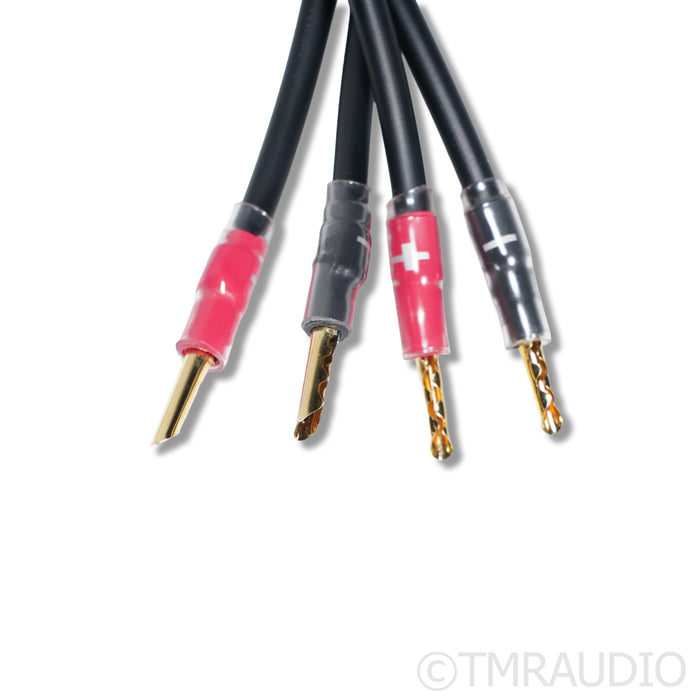 Synergistic Research Atmosphere X Alive Speaker Cables; 3m