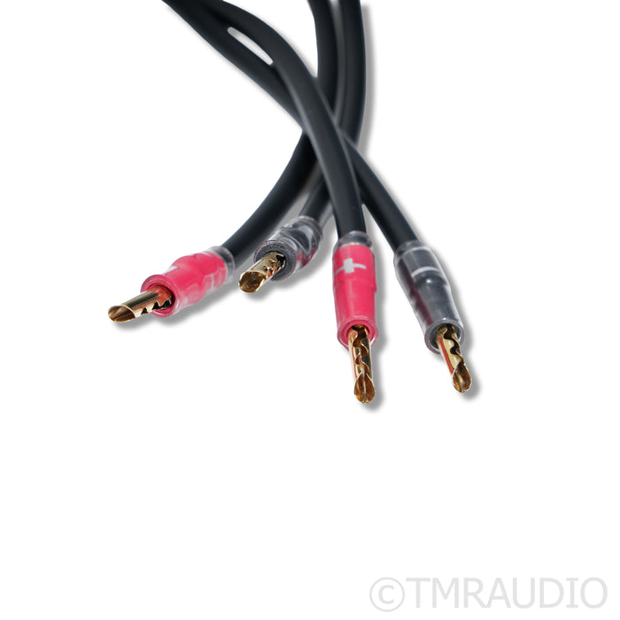 Synergistic Research Atmosphere X Alive Speaker Cables; 3m