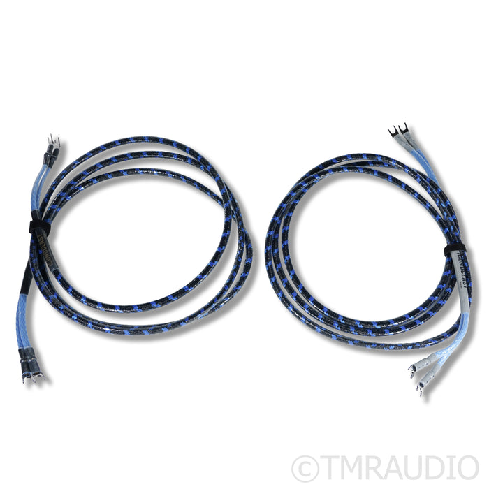 Belden Iconoclast SPTPC Series 2 Silver Plated Speaker Cables; 3m