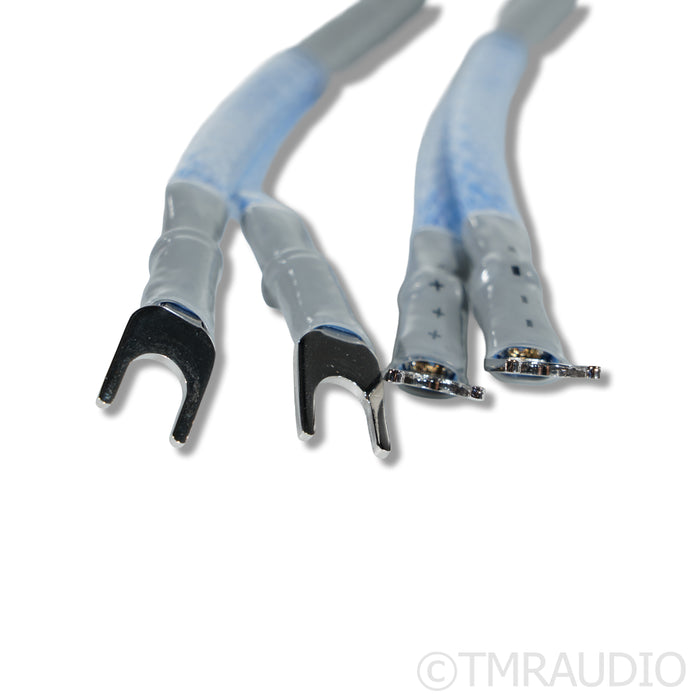 Belden Iconoclast SPTPC Series 2 Silver Plated Speaker Cables; 3m