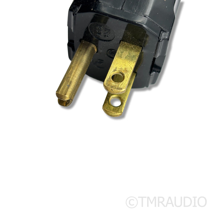 Transparent Audio Premium PowerLink MM2 Power Cable; 2m