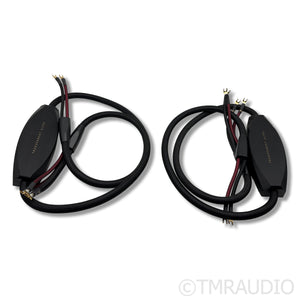 Transparent Audio MusicWave Ultra MM2 Bi-Wire Speaker Cables; 10ft