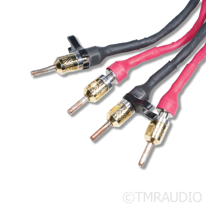 Cardas Clear Sky X4 Speaker Cables; 2m