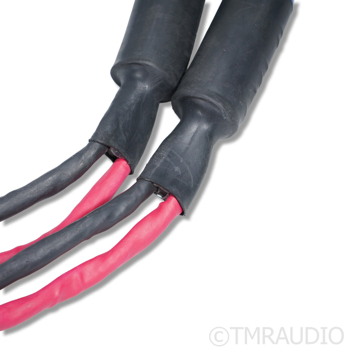 Cardas Clear Sky X4 Speaker Cables; 2m