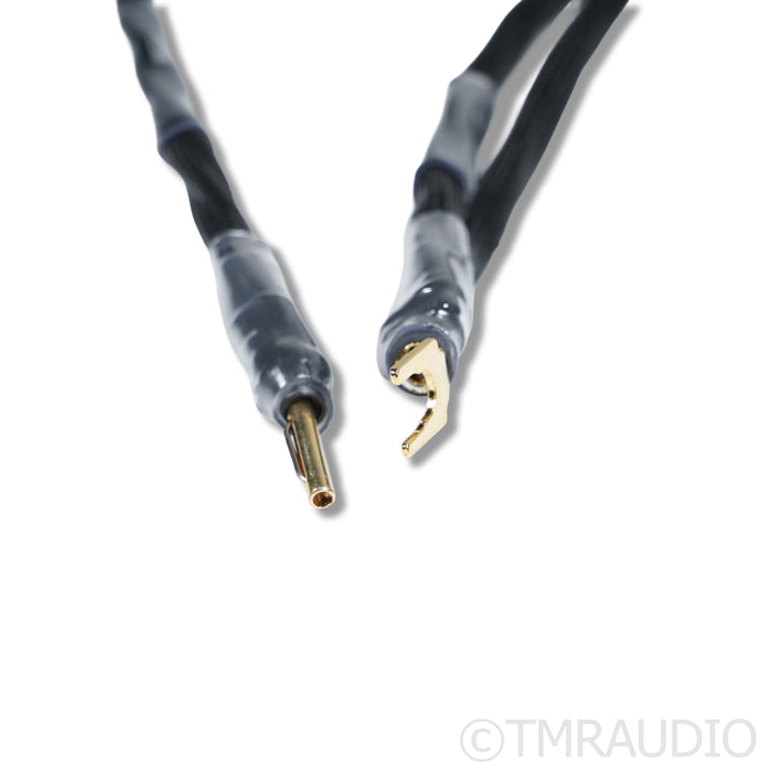 Synergistic Research Foundation XL Bi-Wire Speaker Cables; 6m (Mint)