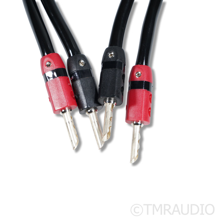 AudioQuest Rocket 33 Speaker Cables; 3m
