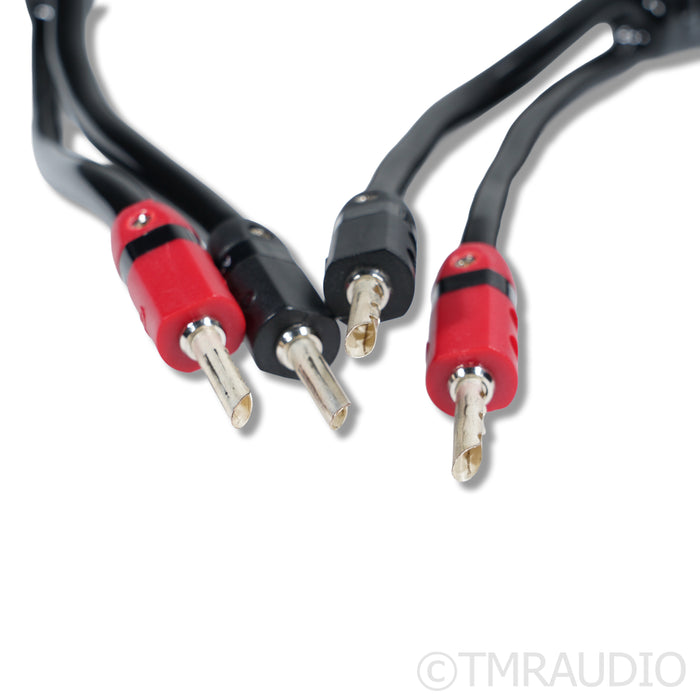 AudioQuest Rocket 33 Speaker Cables; 3m