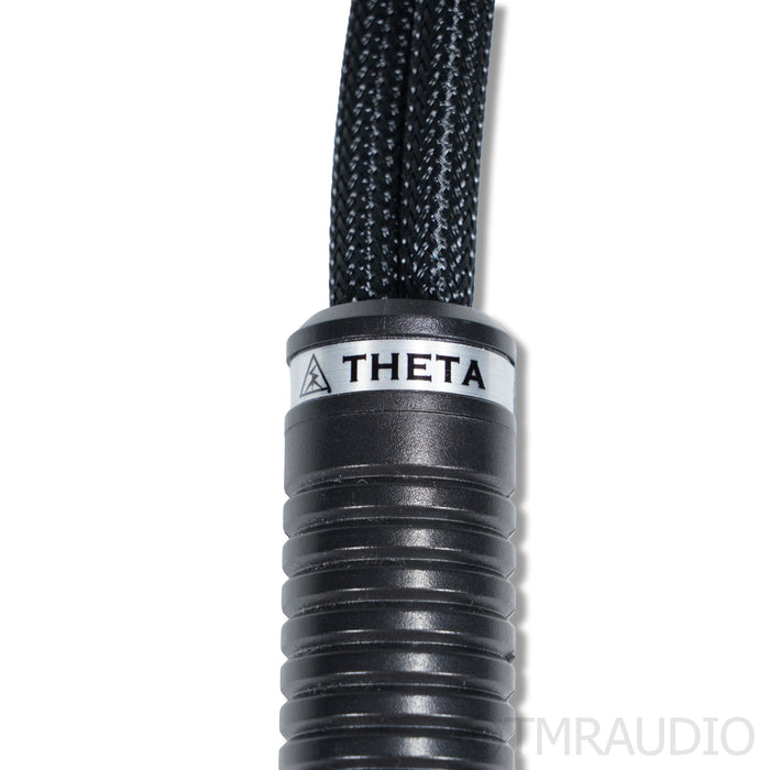 Shunyata Research Theta Speaker Cables; 4m