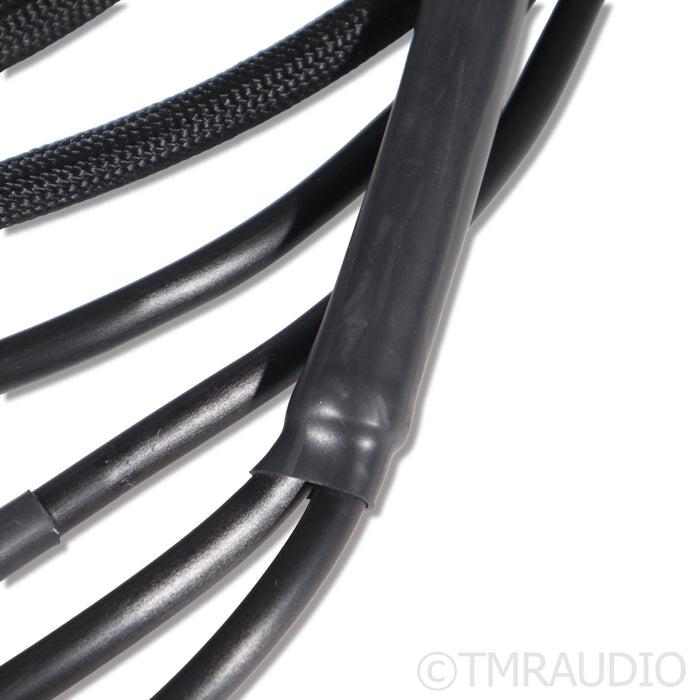 Synergistic Research SR30 Speaker Cables; 8ft