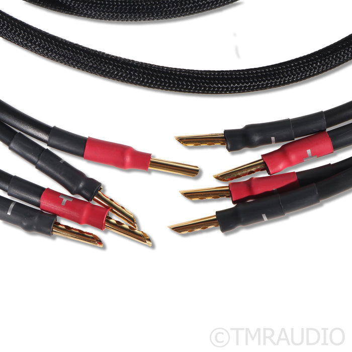 Synergistic Research SR30 Speaker Cables; 8ft