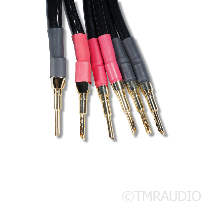 Tara Labs RSC Prime M1 Bi-Wire Speaker Cables; 8ft