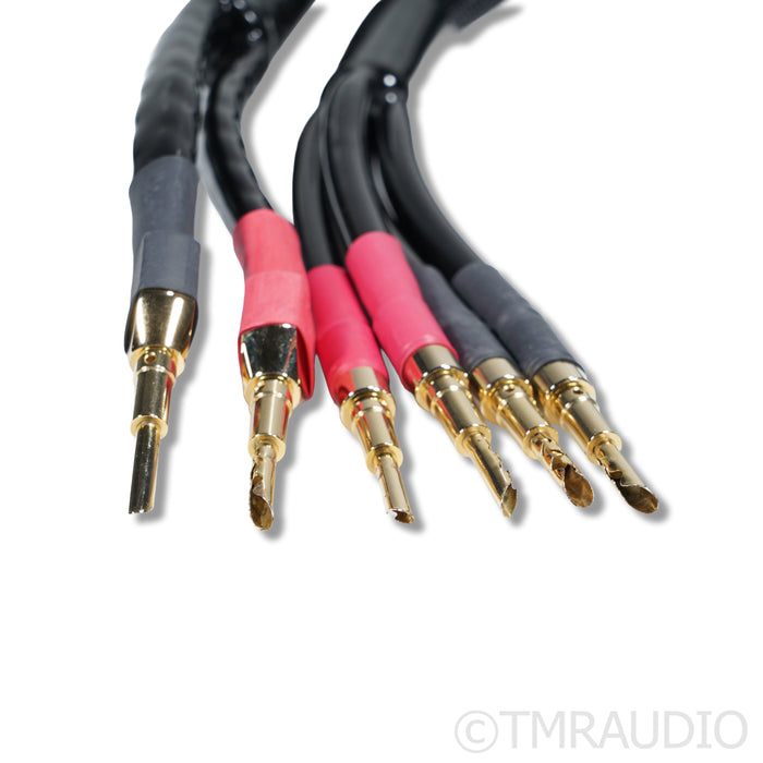 Tara Labs RSC Prime M1 Bi-Wire Speaker Cables; 8ft