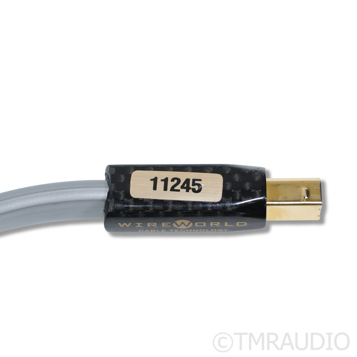 WireWorld Platinum Starlight 7 USB Cable; 1m