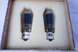 VAIC VV30b NOS Pair in Factory Box