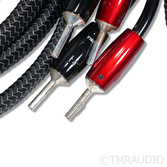 AudioQuest Rocket 44 Bi-Wire Speaker Cables; 8ft